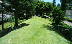 川崎市 新ゆりグリーンタウン