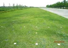 加須はなさき公園