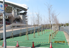 さいたま市 埼玉スタジアム2002(E60) 公園植栽