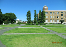 水戸市 県立図書館前 多目的芝生広場