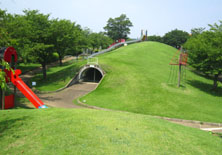 下妻市 小貝川ふれあい公園(A10) 芝生広場